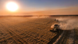 ciftcilere yaklasik 827 milyon lira tarimsal destekleme odemesi yapilacak SKGa5y36