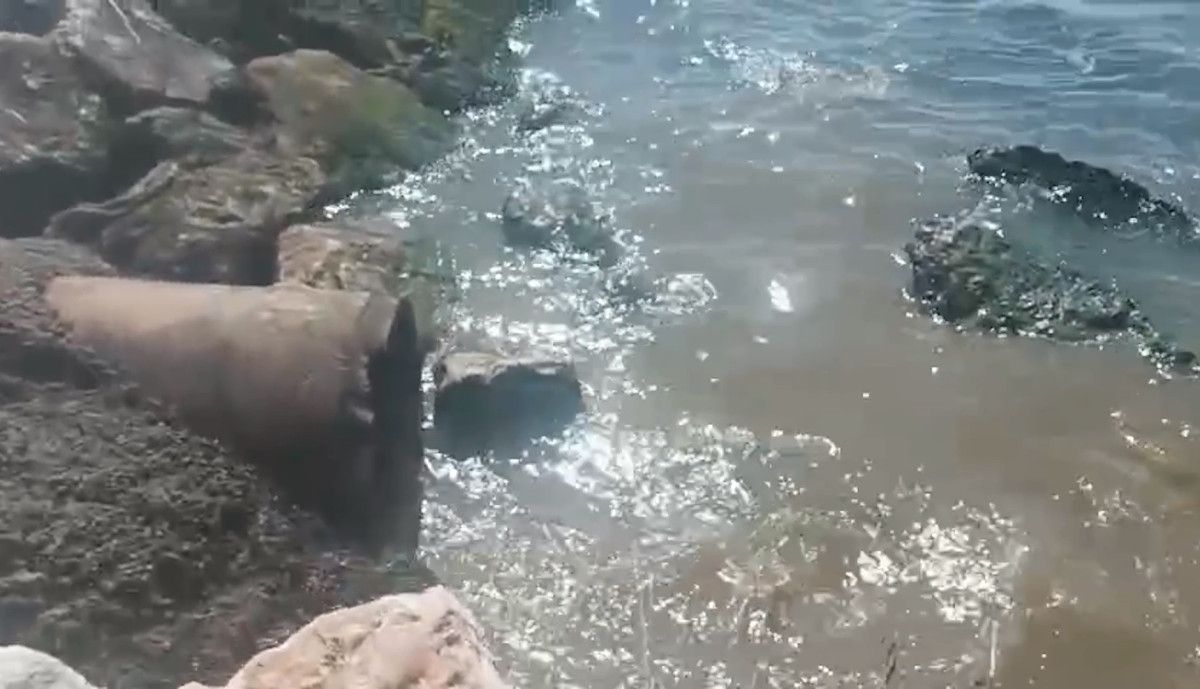 denize atik su desarj eden yalova belediyesine 13 milyon lira ceza kesildi 1 StBFS7FD