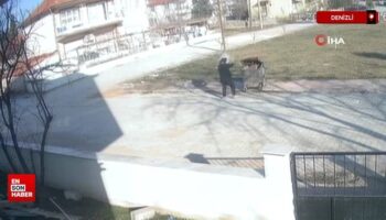 denizlide ayaklarini iple bagladigi kopegi cope atti eF58iQbZ