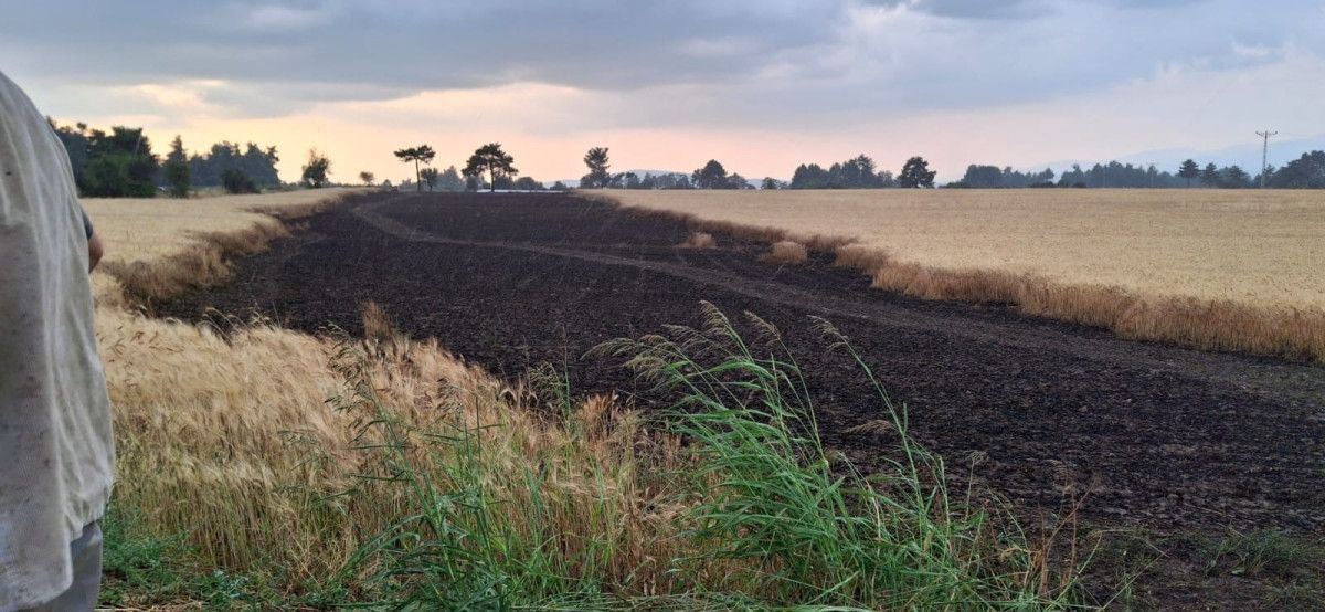 denizlide ekili araziye dusen yildirim 8 ton bugdayi kul etti 0 LTukt3AE