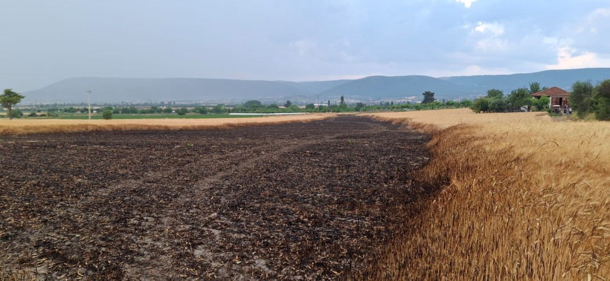 denizlide ekili araziye dusen yildirim 8 ton bugdayi kul etti 1 esNJwHDO