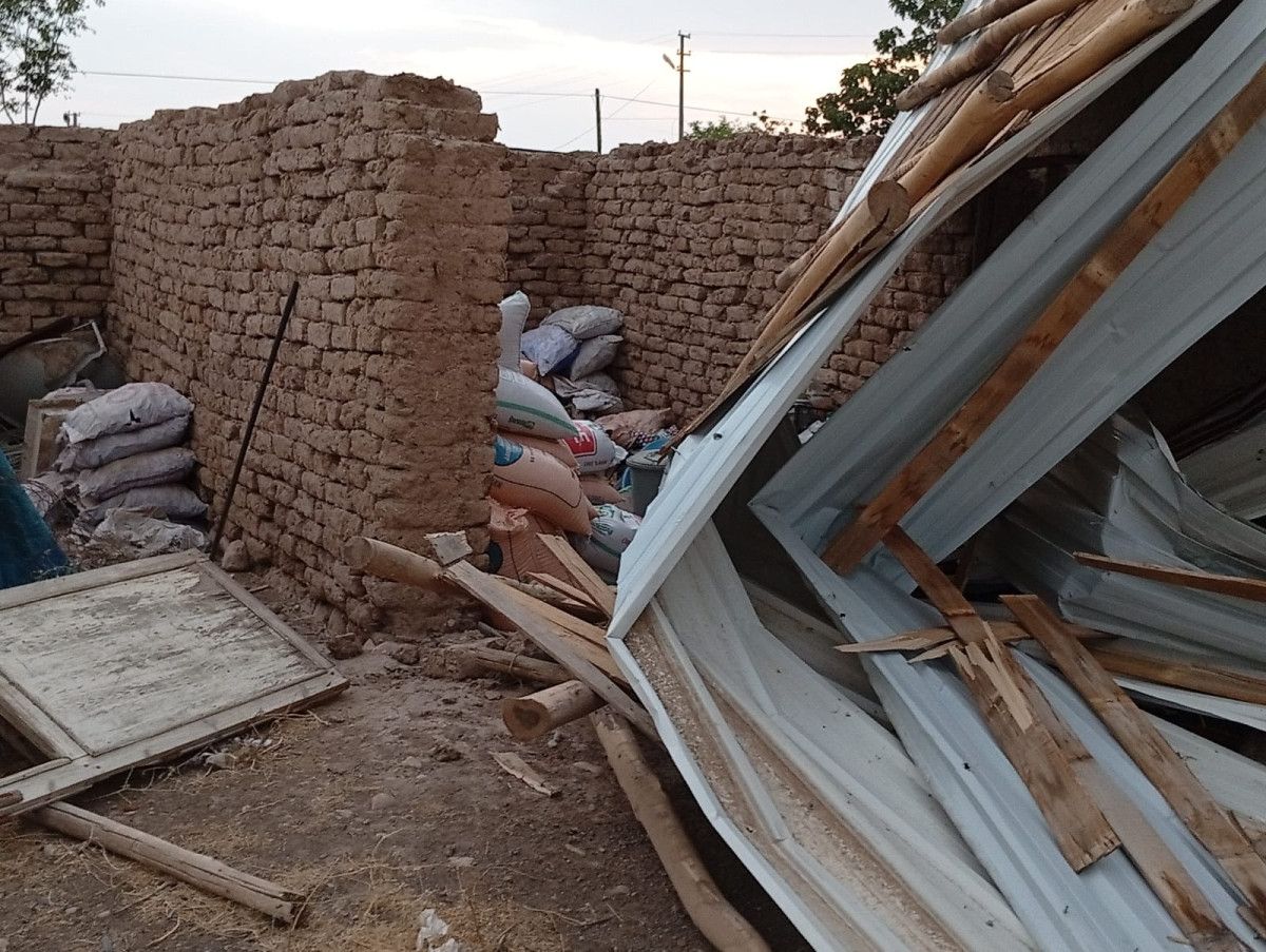 diyarbakirda ruzgar elektrik diregini devirdi 6 inek akima kapilip telef oldu 2 qU1jVJla