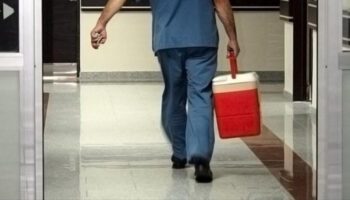 e devlet ve e nabiz uzerinden organ bagiscisi olunabilecek dMwq4ktC