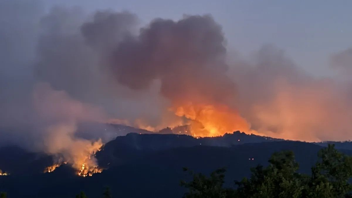 eskisehirde 10 orman iscisi sehit oldu ibrahim yumakli son durumu paylasti 0 ZtjhHsG8