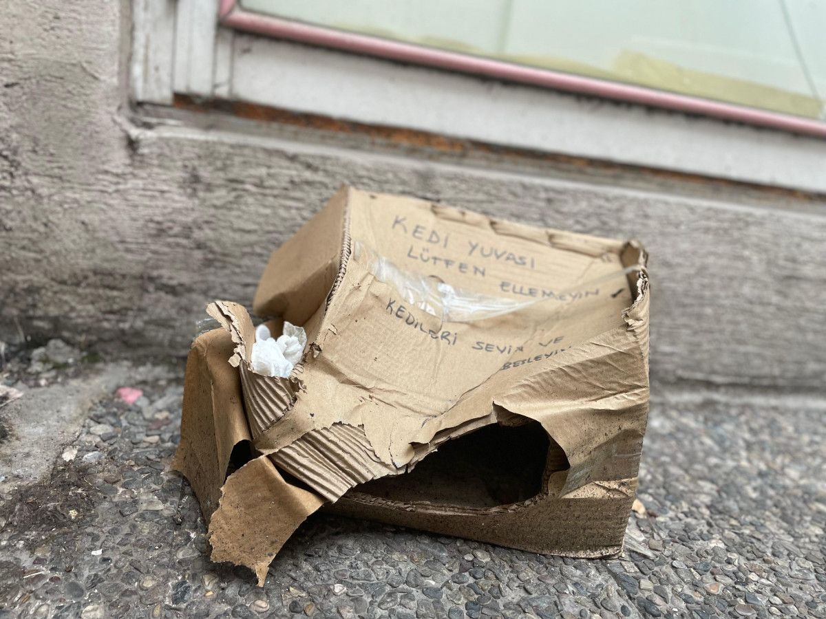 eskisehirde kedi yuvasina zarar verdiler 3 UZpJzt4a