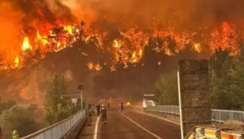 eskisehirdeki orman yangininda sehit dusen personellerin kimlikleri belli oldu NNdILx4l
