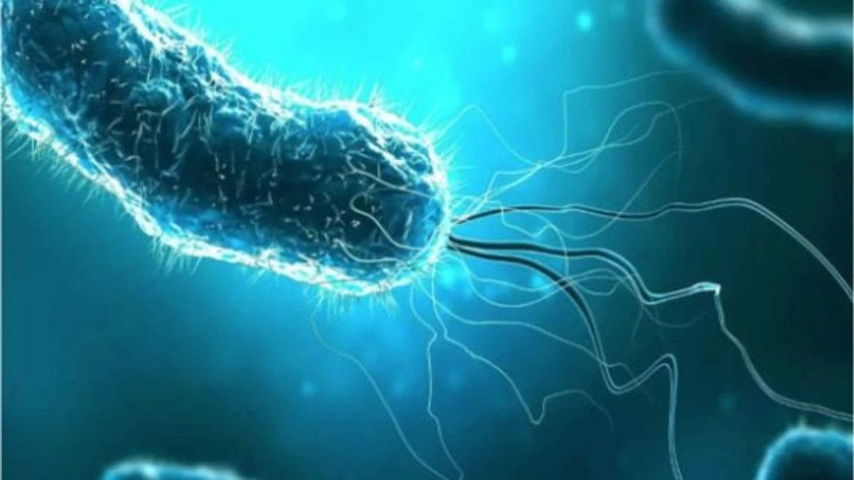 et yiyen bakteri abdde can almaya devam ediyor 0 gSgQld53