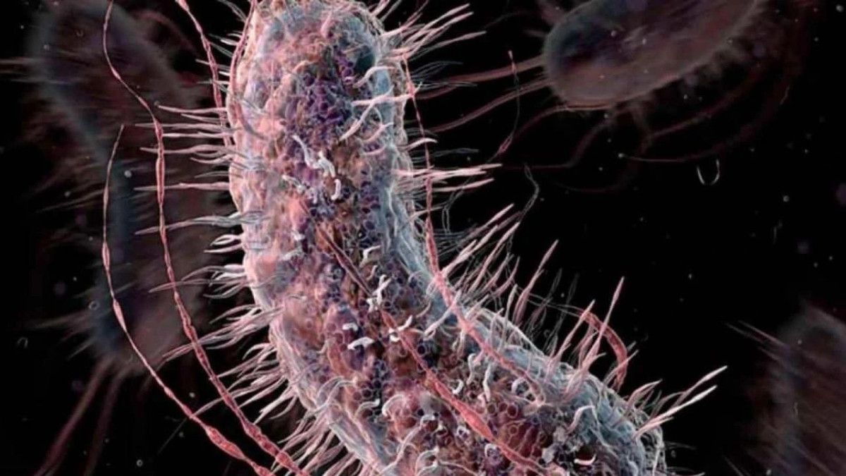 et yiyen bakteri abdde can almaya devam ediyor 1 PQj4fl9H