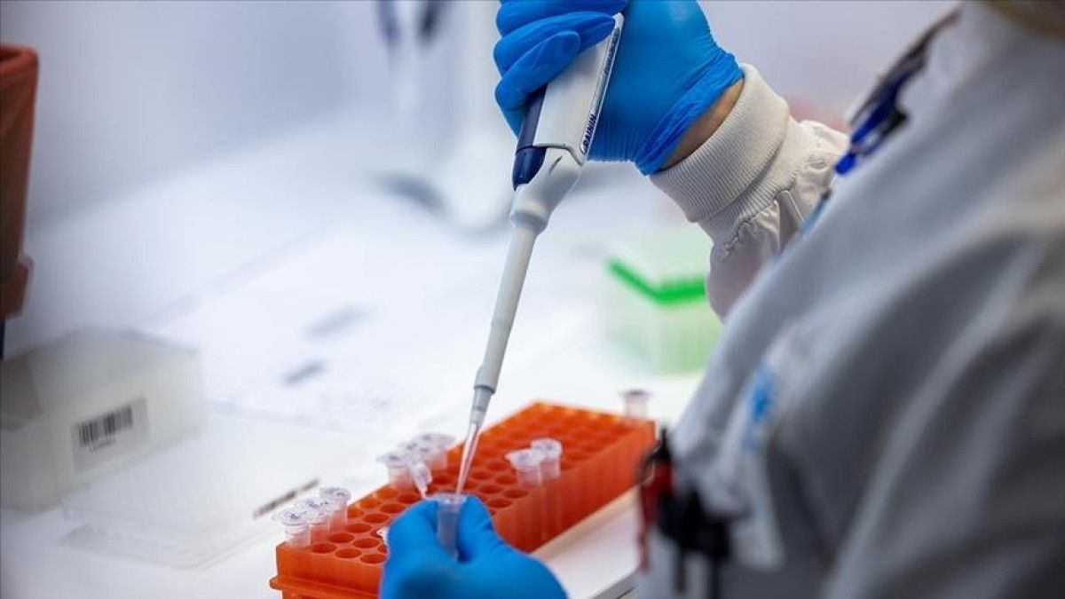 ganada m cicegi virusu kaynakli ilk olum kayitlara gecti 0 F6t5Jr4j