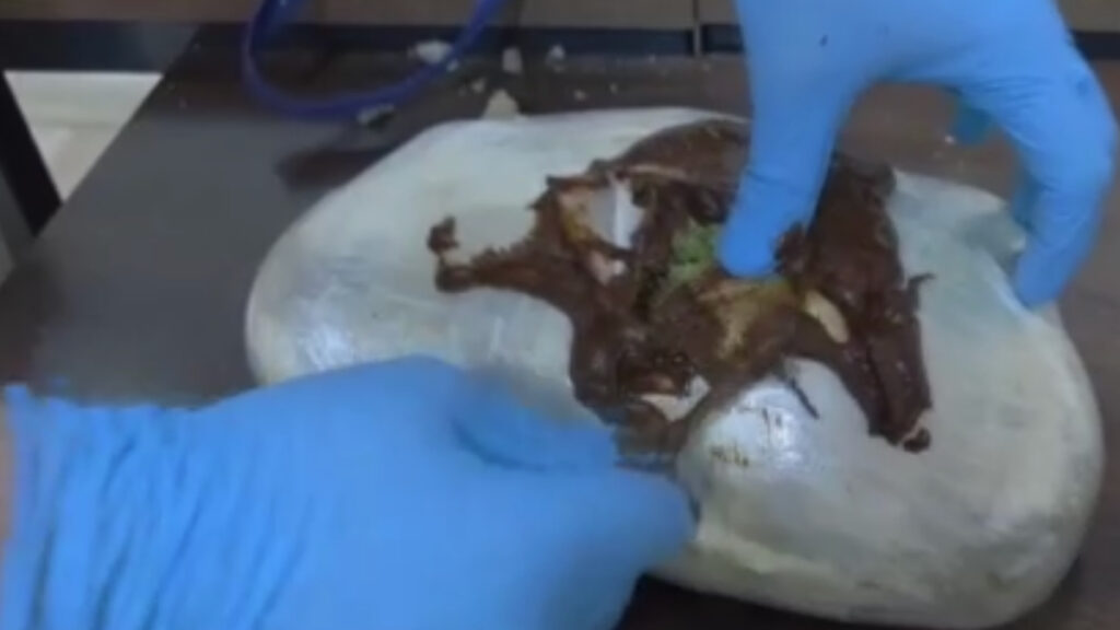 hatayda sehirlerarasi otobuste seyahat eden yolcunun yastigindan uyusturucu cikti GlvS8fAf