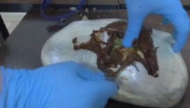 hatayda sehirlerarasi otobuste seyahat eden yolcunun yastigindan uyusturucu cikti GlvS8fAf