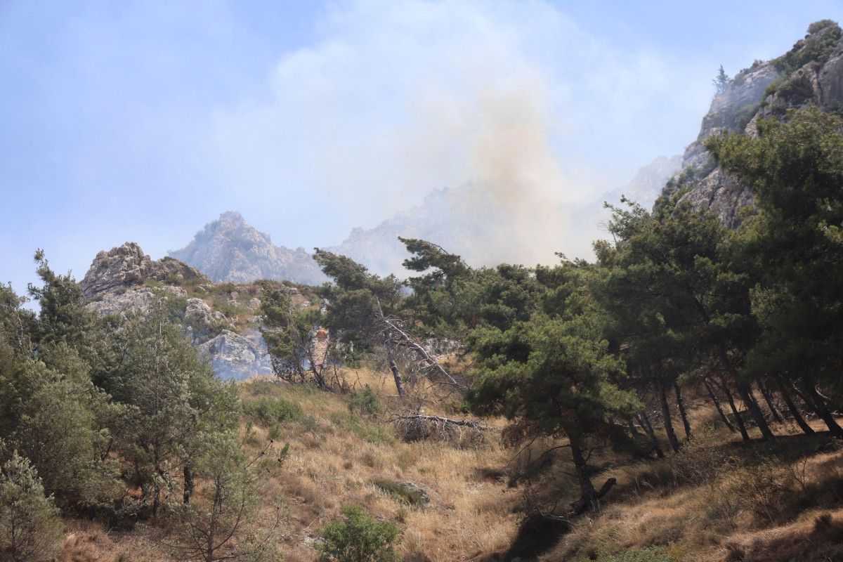hatayda yangin evine sicramasin diye ugrasirken yamactan kopan kaya parcasi elini kirdi 0 OgemgjYD