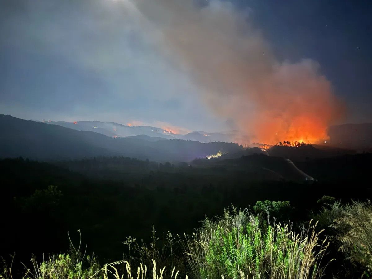 hatayin yayladagi sinirinda yangin panigi keseb sinir kapisi gecici olarak kapatildi 1 GLI75H6O