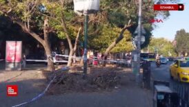 istanbul besiktasta kaldirimdaki yayalarin uzerine agac devrildi FVZhvjOM