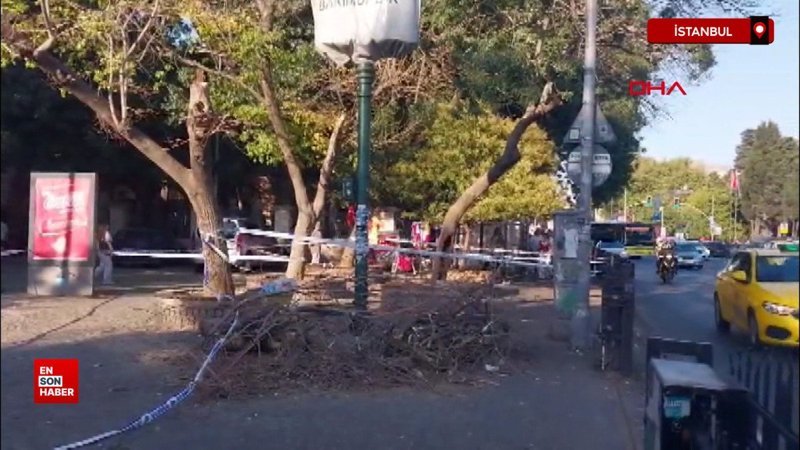 istanbul besiktasta kaldirimdaki yayalarin uzerine agac devrildi FVZhvjOM