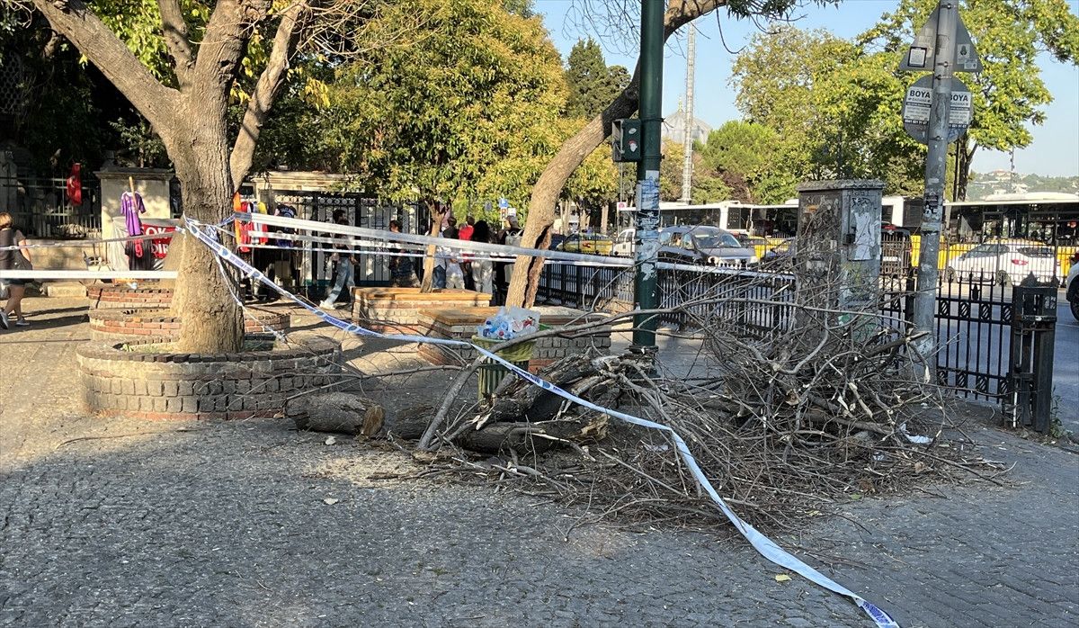 istanbul besiktasta uzerlerine agac devrilen gencler yaralandi 0 druzw7Mp