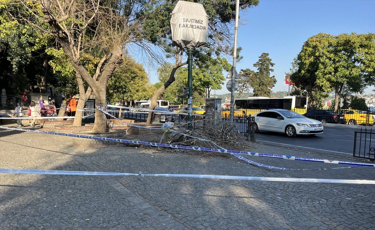 istanbul besiktasta uzerlerine agac devrilen gencler yaralandi 1 mjHd13HE