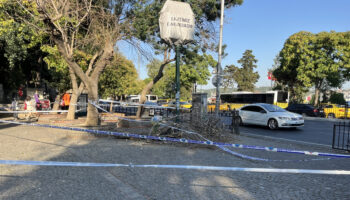 istanbul besiktasta uzerlerine agac devrilen gencler yaralandi u4V87eMV