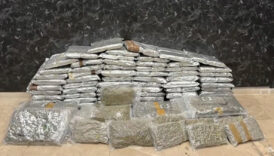 istanbul esenyurtta 144 kilogram skunk ele gecirildi bY9B3TOI