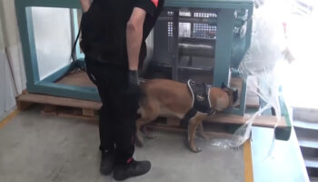 istanbulda uyusturucu operasyonu 60 kilogram kokain ele gecirildi YfYKr3kL