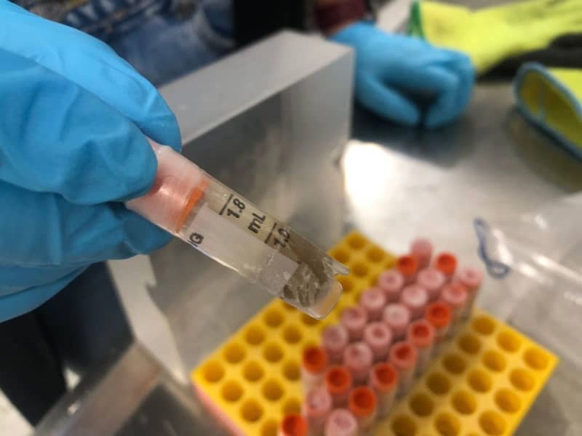 isvicredeki bilim insanlari insan diskisini donduruyor 0 ESNRyOwG