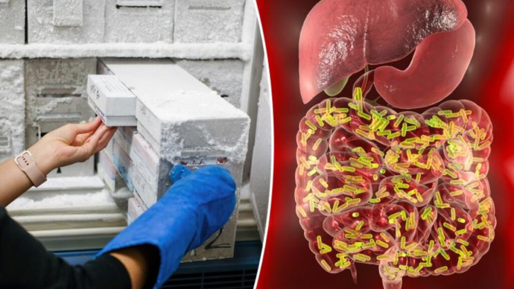 isvicredeki bilim insanlari insan diskisini donduruyor DIQP7ryn