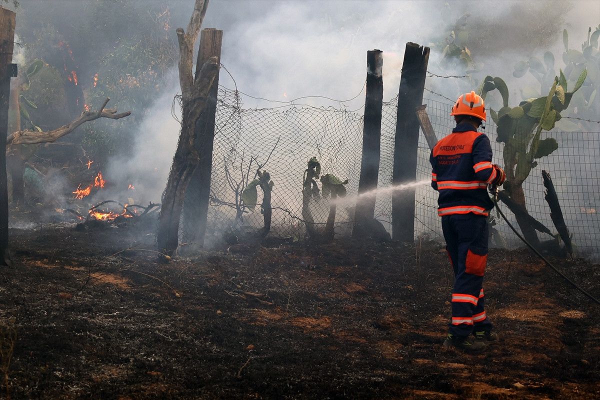 italyanin sicilya adasinda orman yanginlariyla mucadele 0 wab63eFY