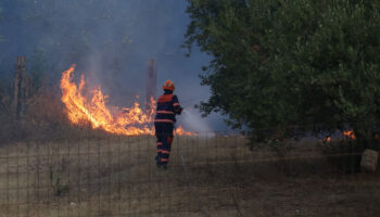 italyanin sicilya adasinda orman yanginlariyla mucadele ivR7gCWh