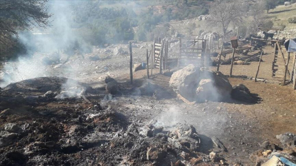 izmirde yeni hayvan ve kovan dagitimi basladi Vq4EiUFg