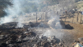 izmirde yeni hayvan ve kovan dagitimi basladi Vq4EiUFg