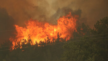karabukte bir gundur suren orman yangini yeniden alevlendi fj22ccgh