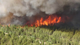karabukte yanginin ciktigi nokta kayda alindi 9z4iLqEV