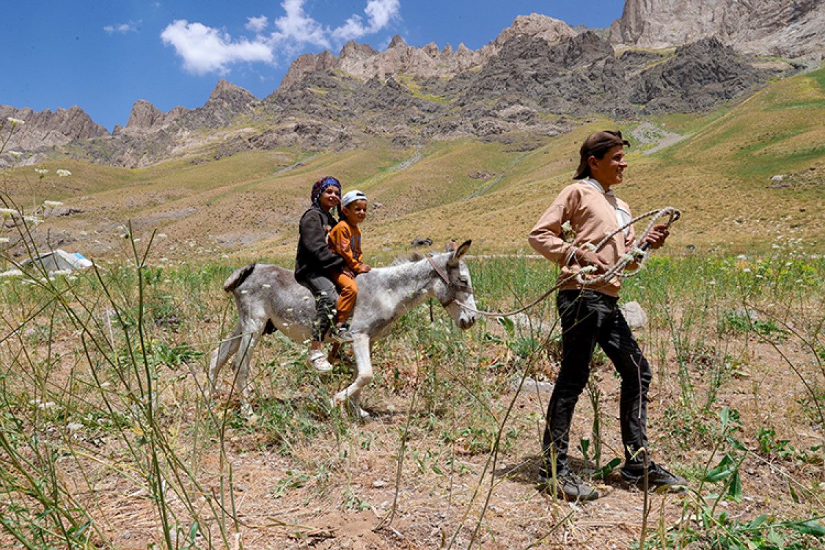 karnelerini alan cocuklar hakkarinin yaylalarinda gocer ailelerine destek oluyor 1 WiY2Fnu8