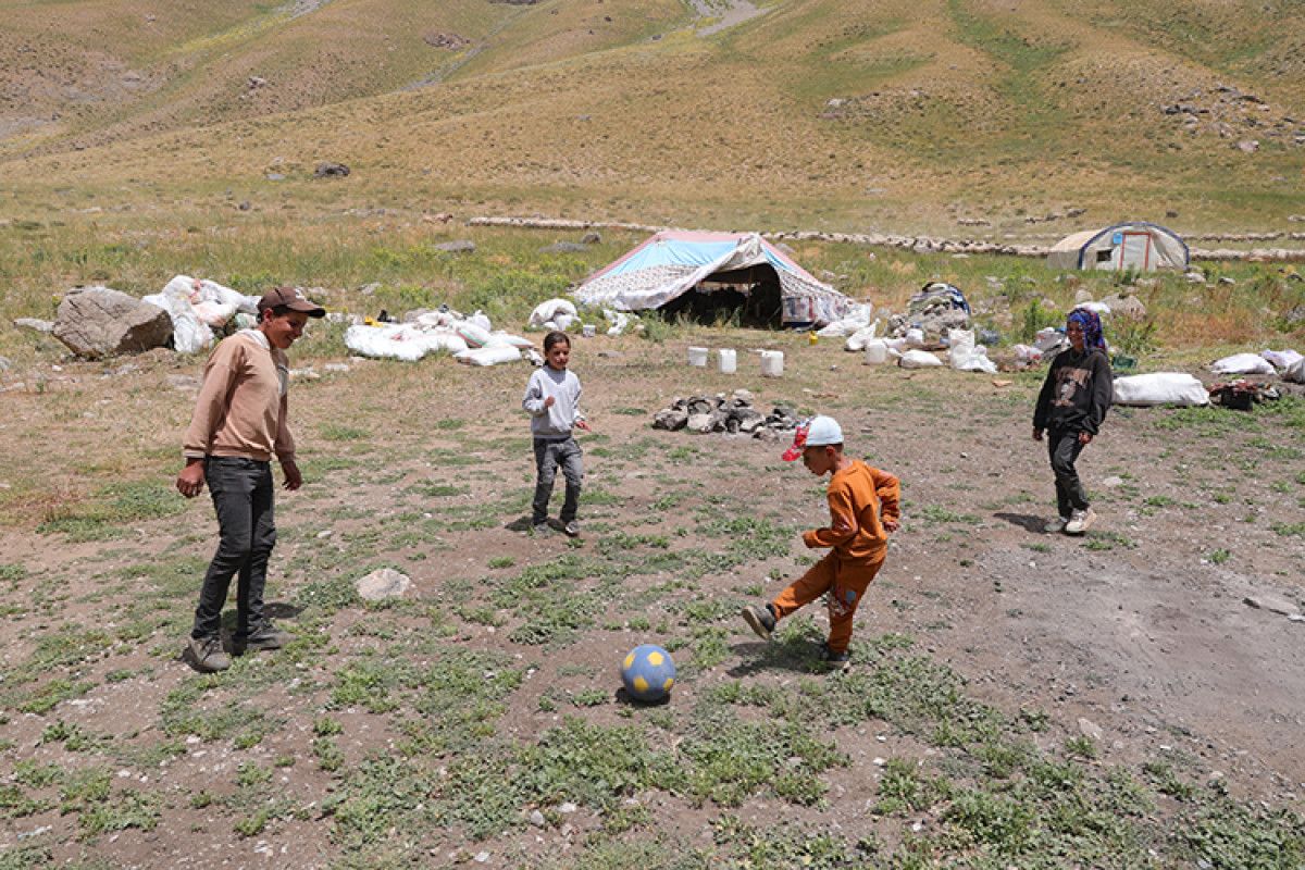 karnelerini alan cocuklar hakkarinin yaylalarinda gocer ailelerine destek oluyor 2 O8ztJXa7