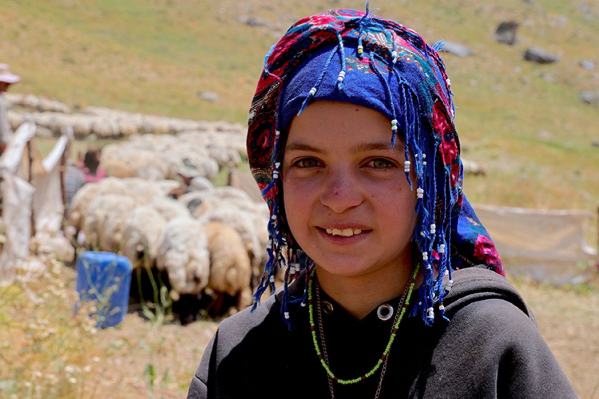 karnelerini alan cocuklar hakkarinin yaylalarinda gocer ailelerine destek oluyor 3 G7wA1WSa