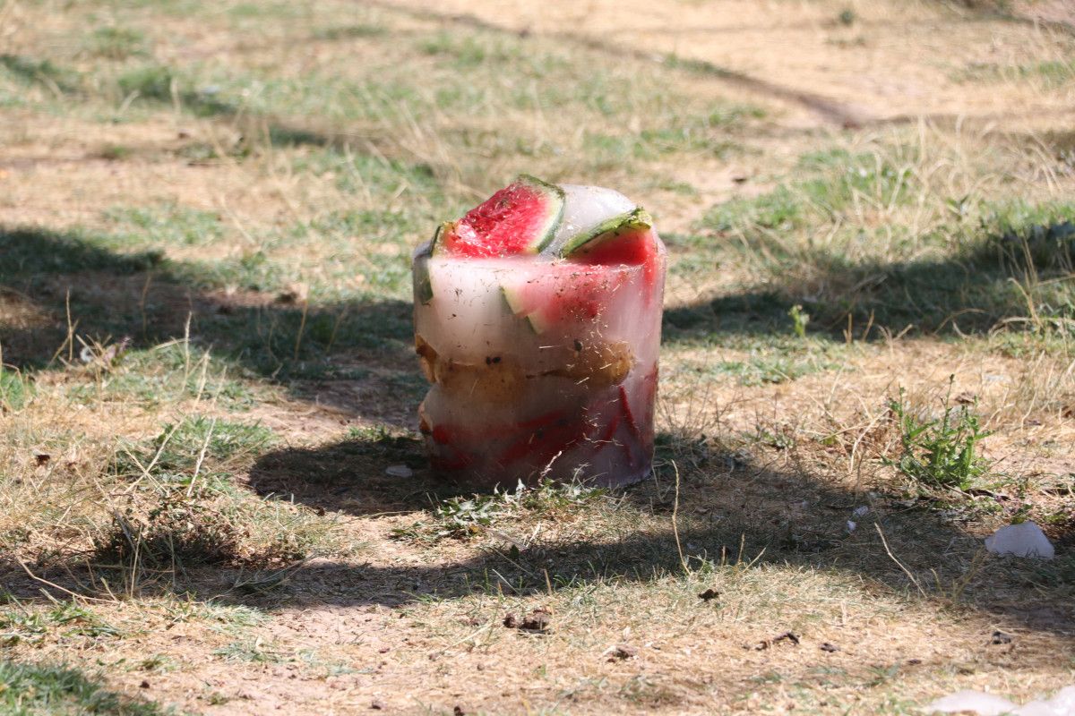 kayseride maymunlara meyve kokteylli serinlik 1 5npYrMV5