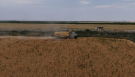 konya ovasinda kuraklik ve don tehlikesi 1 milyon ton rekolte dususu bekleniyor K4xngGmM