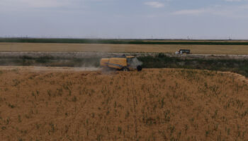 konya ovasinda kuraklik ve don tehlikesi 1 milyon ton rekolte dususu bekleniyor K4xngGmM