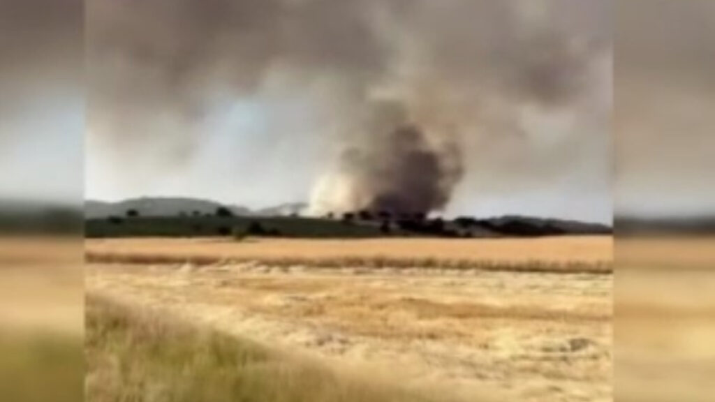 kutahyada orman yangini RpPZVYN5