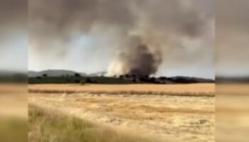 kutahyada orman yangini RpPZVYN5