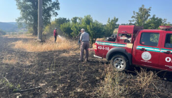kutahyada yuksek gerilim hattina carpan kus yangina neden oldu ah7YTZLu