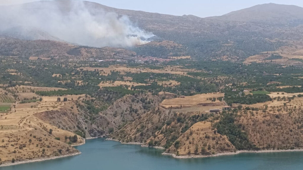 malatyada orman yangini panigi WlIecJ93