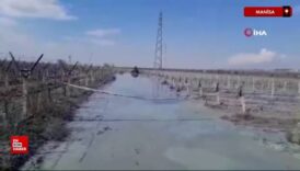 manisa alasehirde uzum bagi icinde korkutan patlama gek72yHN