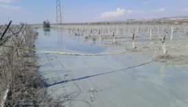 manisa alasehirde uzum bagi icindeki patlama korkuttu CJzrfIkL