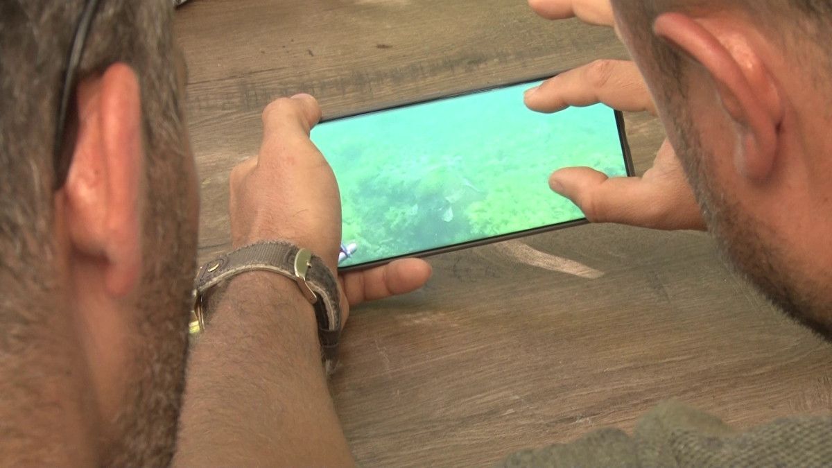 marmara denizinde bir ilk caretta caretta goruntulendi 2 UHNDmGOA