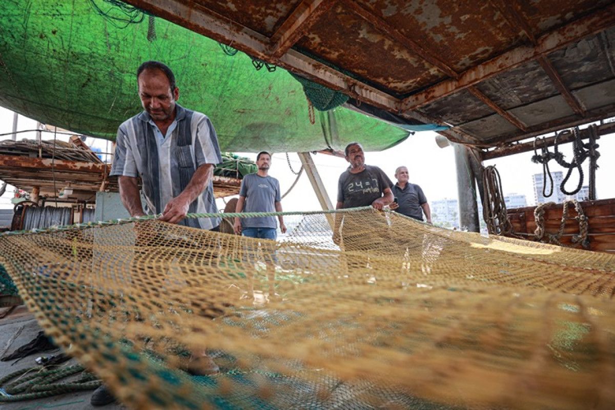 mersinli balikcilar uluslararasi sulardan eli bos dondu 0 zZyrVmfb