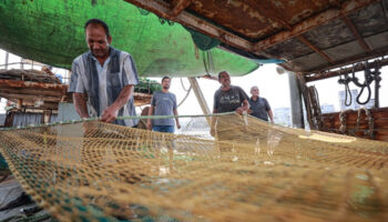 mersinli balikcilar uluslararasi sulardan eli bos dondu mwHgbNjR