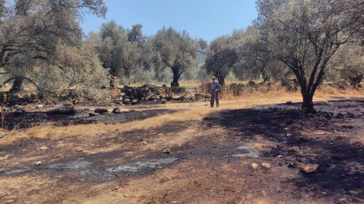 muglada yangin cikan antik kentte yasayan yasli adam zar zor ikna edildi 0 RZUDegKg