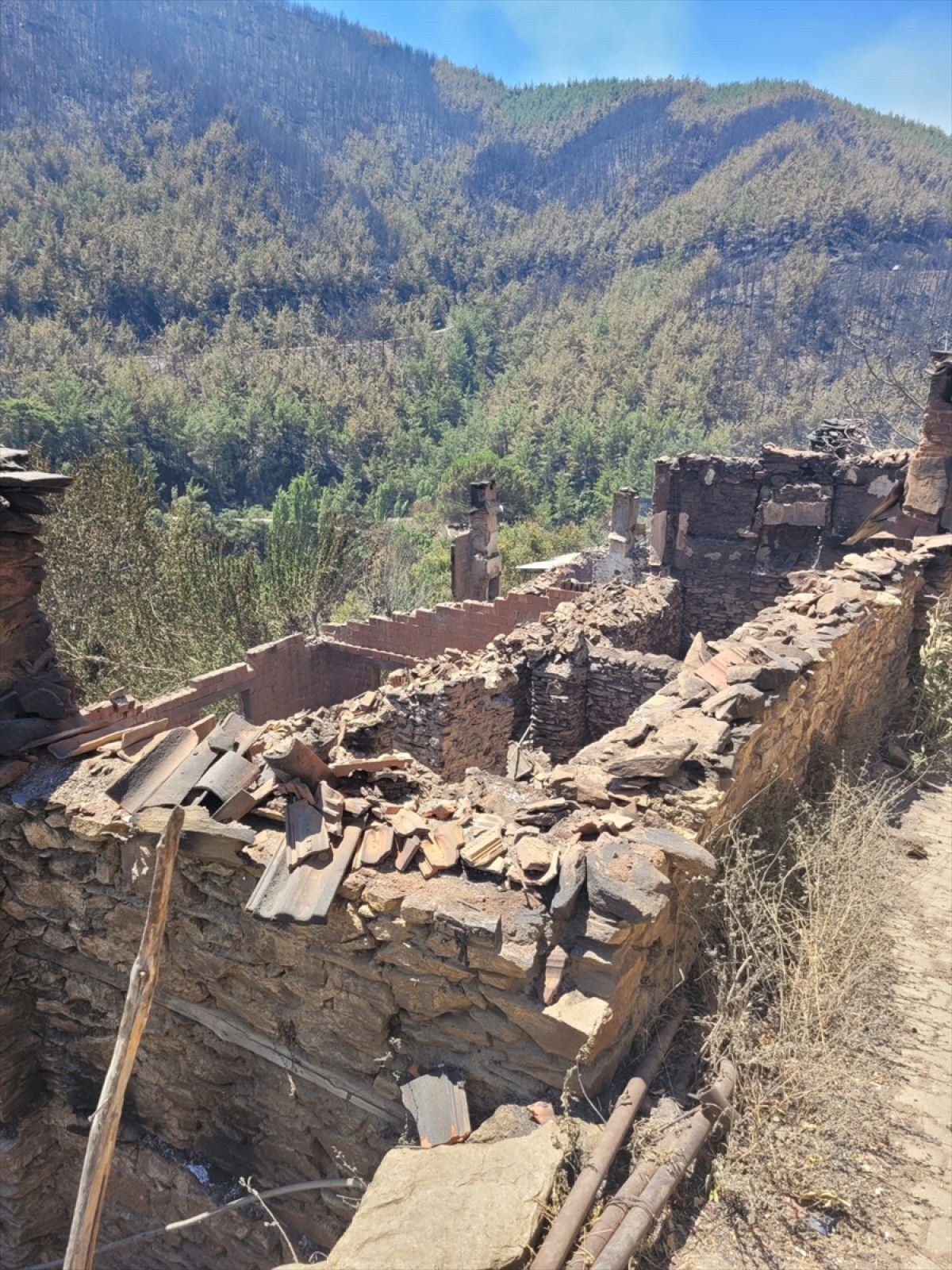 murat kurum orman yanginlarinda 87 bagimsiz birimde agir hasar tespit edildi 3 CdlWSeBe