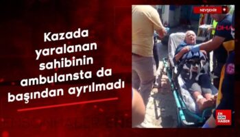 nevsehirde kazada yaralanan sahibinin ambulansta da basindan ayrilmadi ryRxXOxa